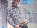 BRUCE RUFFIN  - BEST OF 1971/1972 - FIRST RHINO LP ISSUE - PAMA TROJAN BOSS