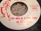 Rate Northern Soul The Ambassadors Too Much Of A Good Thing PEE VEE