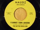 Rare Garage Psych The Butter Rebellion I Cannot Turn Around & Aftermath STVG+