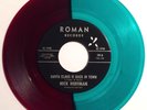 Nick Hoffman (The Dovers) | Rare Garage Punk 1966 on Roman Xmas *HEAR*