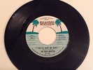 The Voice Masters - You've Hurt Me Baby - (Bamboo)