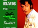 Elvis Presley Spliced Takes 