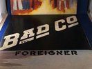 3 Classic Vinyl Lynyrd Skynrd First Pressing Flame Cover,Bad Co.,Foreigner