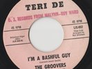 SUPER RARE ORIGINAL NORTHERN SOUL 45 - THE GROOVERS - I'M A BASHFUL - TERI DE