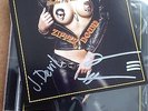 EAGLES OF DEATH METAL Zipper Down *SIGNED AUTOGRAPHED* Queens of the Stone Age