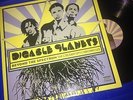 BEYOND THE SPECTRUM-DIGABLE PLANETS 2005 BLUE NOTE RECORDS DOUBLE VINYL RECORDS