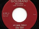 HEAR- Rare Rockabilly 45- Gene Terry & Down Beats- No Mail Today- Goldband #1081