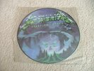 METALLICA - CREEPING DEATH - RARE PICTURE DISC 12