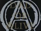 RARE  Dead or Alive/Pete Burns 