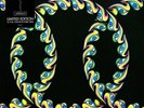 NEW Tool - Lateralus [Vinyl New] (Picture Disc)