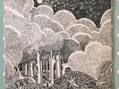 SHIDE AND ACORN UNDER THE TREE SOLENT RECORDS RARE ORIGINAL PRESS 1971