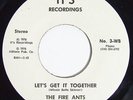 THE FIRE ANTS Let's Get It Together 45 on It's Obscure 70s Louisiana Soul M-