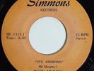 MERV MURPHY It's Growing 45 on Simmons Rare 70s Chicago Soul M-