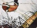 CIRCA SURVIVE-JUTURNA: DELUXE 10 YEAR ANNIVERSARY EDIT (US IMPORT)  VINYL LP NEW