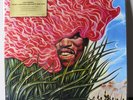 JIMI HENDRIX 'Merry Christmas And Happy New Year' MOV Ltd. 10