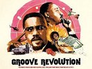 Various - Groove Revolution Vinyl LP NEU 0451645