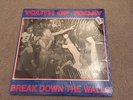 Youth Of Today - original Break Down The Walls LP on Wishingwell Records