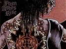 FROM ASHES RISE/VICTIMS Split LP LP VINYL 17 Track Split LP With Insert