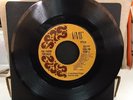 RARE POP/PSYCH  The Paper Fortress 
