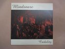Mindsnare, Credulity, heavy metal, Australian band