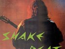 The Five Tornados Shake Beat Elite Special Vinyl LP