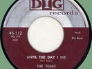 TEARS Until the Day I Die / Nothing But Love 45rpm Dig 1956 doo-wop
