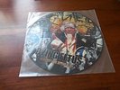DYING FETUS - ´´DESTROY THE OPPOSITION´´ - RARE OOP DEATH METAL PICTURE LP 200