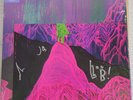 Dinosaur JR Give a Glimpse of What Yer Not LP with Limited Edition Signed Print