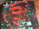Warpaint The Fool 1 of 300 Colored Vinyl Limited Edition Newbury Comics