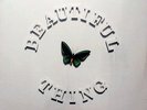 The Stone Roses Beautiful Thing Mint Sealed 12