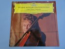 Anja THAUER - Dvorak - DGG tulip