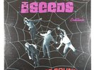 Seeds 