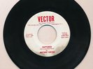 MISTERS' VIRTURE Captured/Summer Night 1967 Vector 211 GARAGE Fuzz 7