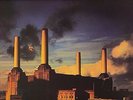 PINK FLOYD - ANIMALS - COLORED VINYL STEREO LP  CBS/SONY MADE IN THE PHILIPPINES