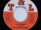 Funk/Sweet Soul 45 COLD BLOODED EXPRESS A Better Way T&L VG+ HEAR