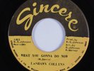 Northern Soul/Funk 45 LASHAWN COLLINS What You Gonna Do Now SINCERE HEAR