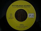 MAD MIKE SURF  LUCKY LEGIONNAIRES  pinball  PITTSBURGH SOUNDS  CLEAN & GREAT