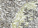 CHAD VANGAALEN - DIAPER ISLAND NEW VINYL