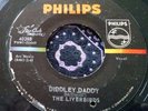Mod Garage Punk 45 Liverbirds Diddley / Why Do You Hang GIRLS IN THE GARAGE HEAR