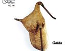 Rhodope Bagpipe Orchestra - directed by Apostol + - Musical Instruments in Bu...
