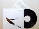 BLUE CLIFF ENSEMBLE: self titled LP private soft folk SSW hear