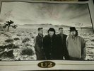 u2  signed   joshua tree poster ..bono ..edge ..adam  ..one off item