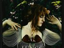 Lungs FLORENCE & THE MACHINE NEW VINYL 0602527091068