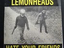 Lemonheads - Hate Your Friends LP VG+ TAANG 15 1st 1987 Stereo Vinyl Record
