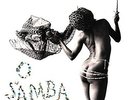 BRAZIL CLASSICS 2: O SAMBA ...-BRAZIL CLASSICS 2: O SA (US IMPORT)  VINYL LP NEW