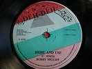 6 Reggae-Singles (I): Bobby Melody,Disases,Denroy Morgen,Michigan,Jacob Miller