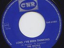 The NICOLS * 1967 Dutch BEAT FREAKBEAT NEDERBEAT 45 * Listen