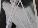 mylene farmer photo promo originale inedite periode maman a tort
