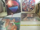 4 LPS: GREATFUL DEAD BEAR'S CHOICE & 3 JERRY GARCIA REFLECTIONS, ROSES, CATS..7