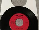 The Fugitives – I'm Gonna Hurt You / Cry Me A River (New Talent NT-101) VG+ RARE